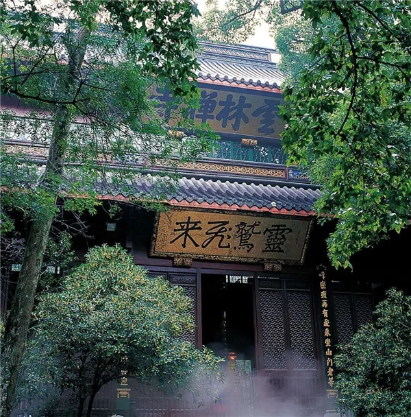 WechatIMG20.jpeg WechatIMG20.jpeg